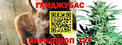 прущие грибы Пыть-Ях
